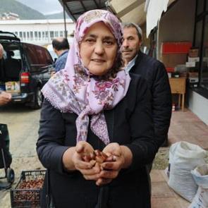 Kestane tezgahlara &ccedil;ıktı, fiyatı belli oldu! Kilosu 600 liradan satılıyor