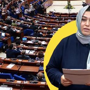 Sena Nur &Ccedil;elik Kanat&rsquo;tan Batı Trakya T&uuml;rkleri i&ccedil;in Avrupa'ya &ccedil;ifte standart tepkisi