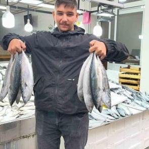 Sinop'ta palamut bereketi! Tezgahlarda fiyatı 50 liraya kadar geriledi