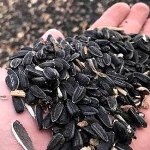 Yağlık ay&ccedil;i&ccedil;eğinde &ouml;n alım fiyatı a&ccedil;ıklandı!
