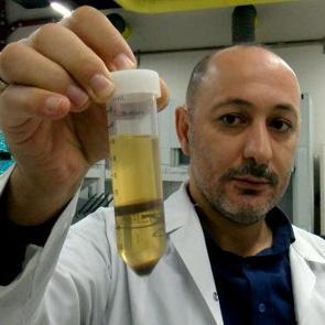 Yem olarak kullanılıyordu değeri katlandı: Y&uuml;zde 80 protein i&ccedil;eren toza d&ouml;n&uuml;ş&uuml;yor