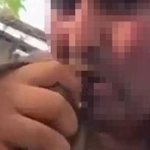 Alanya'da vahşet kamerada: Kuşların birinin kafasını ağzıyla, diğerinin bı&ccedil;akla kesti