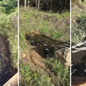 Denize kirli su akıtan Yalova Katı Atık Birliği'ne 5 milyon TL ceza