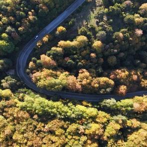Bolu&rsquo;da g&uuml;z zamanı: G&ouml;lc&uuml;k Tabiat Parkı yolu sarı ve kahverengine boyandı