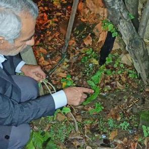 Evinin bah&ccedil;esinde karşılaştı, ne olduğunu anlayamadı! Peş peşe 3 kez g&ouml;r&uuml;ld&uuml;