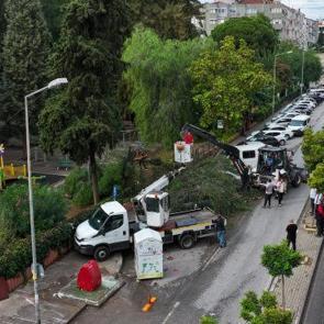 İzmir'de korkutan anlar: 4 otomobilin &uuml;zerine ağa&ccedil; d&uuml;şt&uuml;!