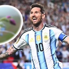 Messi&rsquo;nin ismi Peru&rsquo;da keşfedilen yeni bitki t&uuml;r&uuml;ne verildi