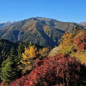 Rize&rsquo;nin &uuml;nl&uuml; yaylaları sonbahar ile renklendi, doğa tutkunları manzaraya doyamadı
