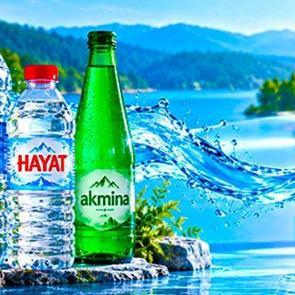 Sırma, Hayat, Akmina... &Uuml;&ccedil; &uuml;nl&uuml; marka da satıldı! İşte yeni alıcısı