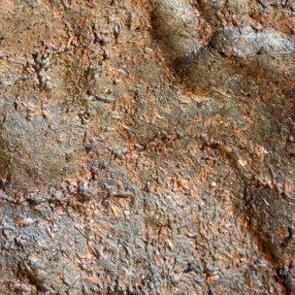 8 bin 400 yıllık ayak izleri bulundu