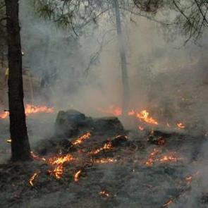 İtfaiye yetersiz kalınca t&uuml;m il&ccedil;e yardıma koştu