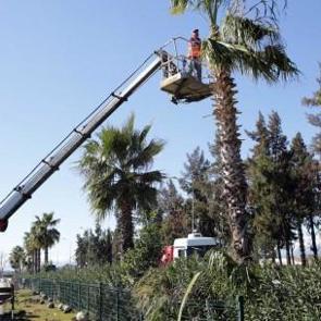 Antalya bunu hep yapıyor