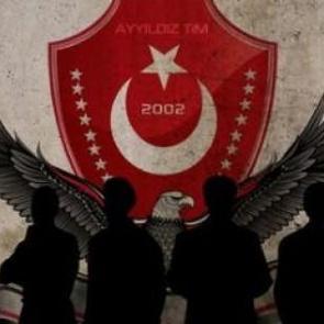 Ayyıldız TİM Almanya'yı hackledi