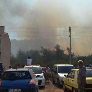 Balıkesir'de orman yangını