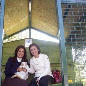 Belediyeden kedi evi hizmeti