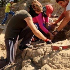 Bir ilimizde 6500 yıllık saray bulundu