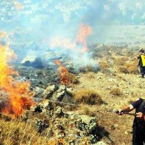 Bodrum'daki yangın korkuttu
