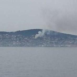 B&uuml;y&uuml;kada'da yangın paniği