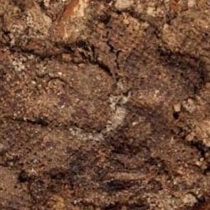 &Ccedil;atalh&ouml;y&uuml;k'te heyecanlandıran keşif - GALERİ