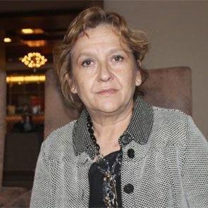 CHP'den Sırrı Sakık'a Karabekir tepkisi 