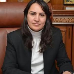 Hakkari Belediye Başkanı tutuklandı