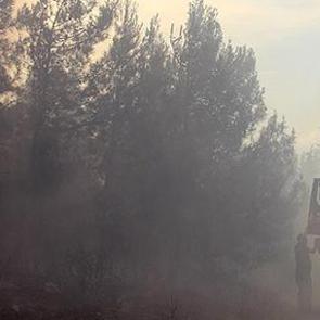 Hatay'da orman yangını!