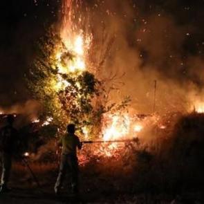 Marmaris'te &ccedil;alılık alanda yangın &ccedil;ıktı