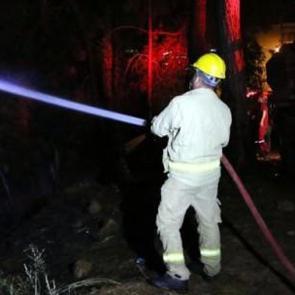 İzmir Buca'da orman yangını