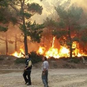 Mersin'de orman yangını