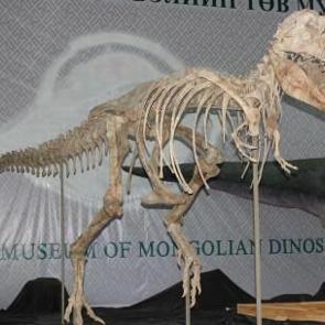 Moğolistan&rsquo;da dinozor kemikleri bulundu