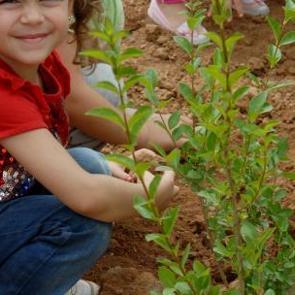 Muratpaşa'da &ldquo;&ccedil;evre şenliği&rdquo; d&uuml;zenlenecek