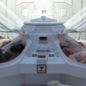 NASA aylık 20 bin TL'ye denek arıyor