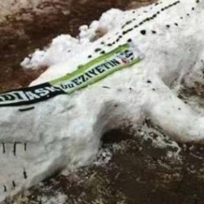 Kardan timsah yaptılar!