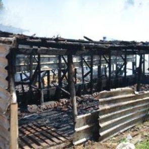 Orhangazi'de yangın: 15 koyun telef oldu