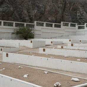 Peygamberin g&uuml;llerinin yattığı kabristanlıklar