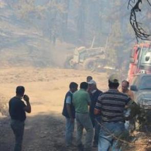Saimbeyli'de 170 hektar kızıl&ccedil;am zarar g&ouml;rd&uuml;