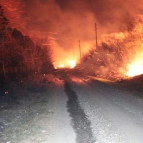 Hatay'da orman yangını!