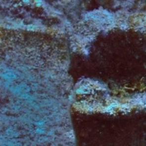 Su altından 2100 yıllık tarih &ccedil;ıktı