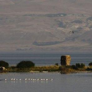 Suyu &ccedil;ekilen Van G&ouml;l&uuml;'nden tarihi kalıntılar &ccedil;ıktı