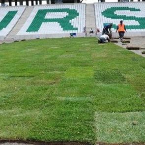 Timsah Arena'ya &ccedil;imler seriliyor