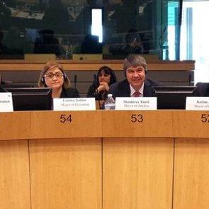 T&uuml;rel AB'ye belediyecilik dersi verdi