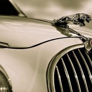 D&uuml;nya devi T&uuml;rkiye'de fabrika a&ccedil;ıyor