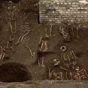 &Uuml;niversitenin altında 1300 iskelet bulundu