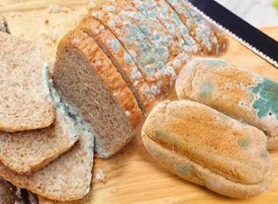 Ramazanda ekmek ve pide israfına dikkat! 