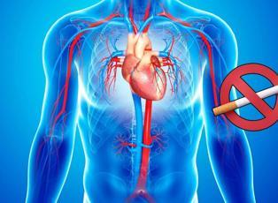 Sigara stent takılmış damarları bile tıkıyor! Uzman doktor göstererek açıkladı