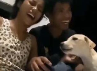Karaokeye katılan köpeğin havlayarak şarkı söylemesi görenleri güldürdü!