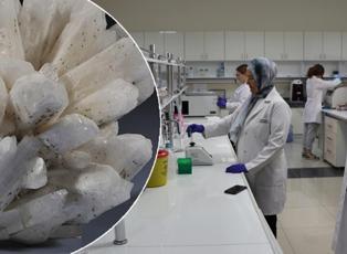 D&uuml;nyada en &ccedil;ok T&uuml;rkiye'de var: Antikanser &ouml;zelliği tıp d&uuml;nyasını harekete ge&ccedil;irdi!