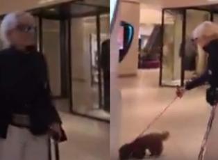 Semiramis Pekkan'ın k&ouml;peğiyle AVM'deki g&ouml;r&uuml;nt&uuml;leri olay oldu