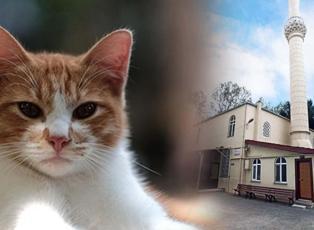 B&ouml;ylesi g&ouml;r&uuml;lmedi: &Ouml;nce patisiyle kapıyı a&ccedil;tı sonra yaptığı hareketle herkesi şaşırttı!