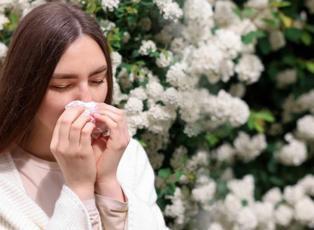 Bahar aylarının kabusu polen alerjisi alarmı!